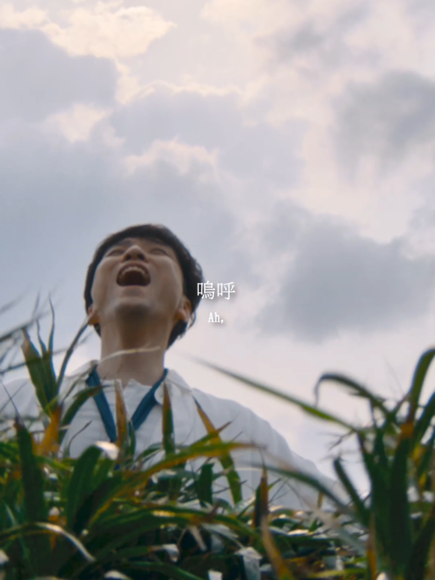 @森山直太朗 official