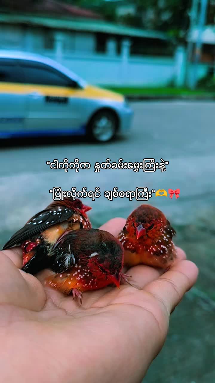 @๐ฅ๐ต๐๐๐ฆ๐ฅ๐ฟ๐๐ฆ๐ฅ(official)