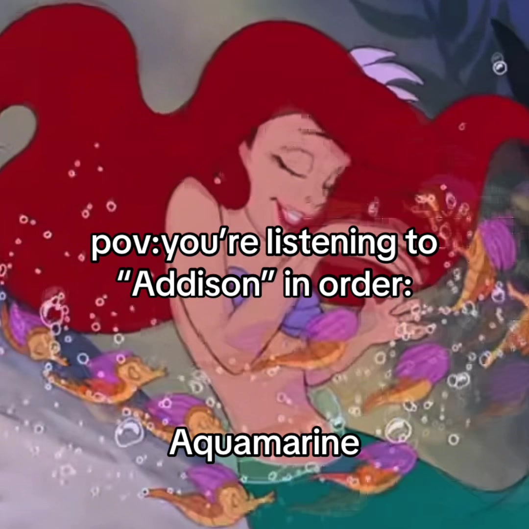 @max aqua’