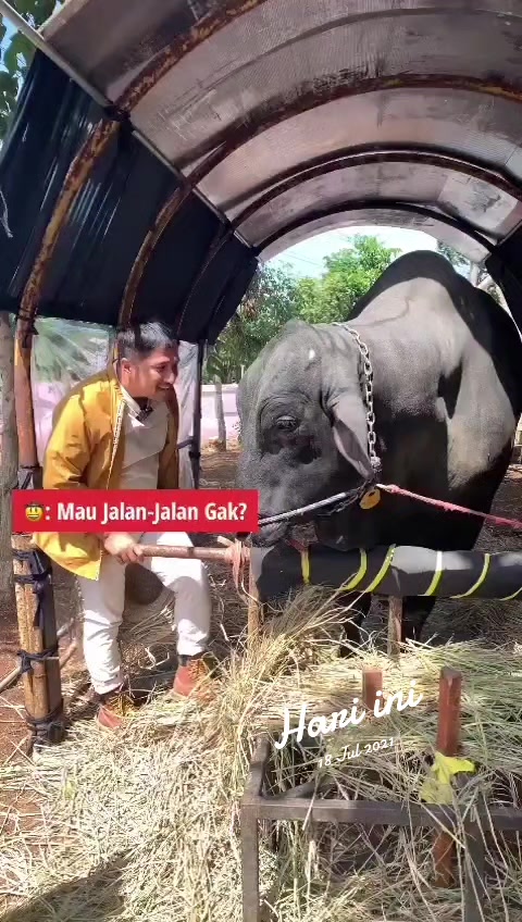 @IRFANHAKIM75