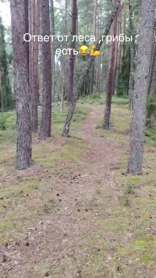 @GRAFINIA.LEDI 13