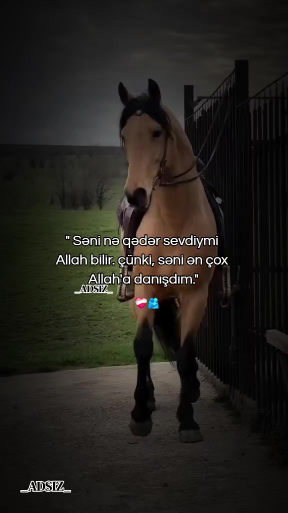 @_ADSIZ_
