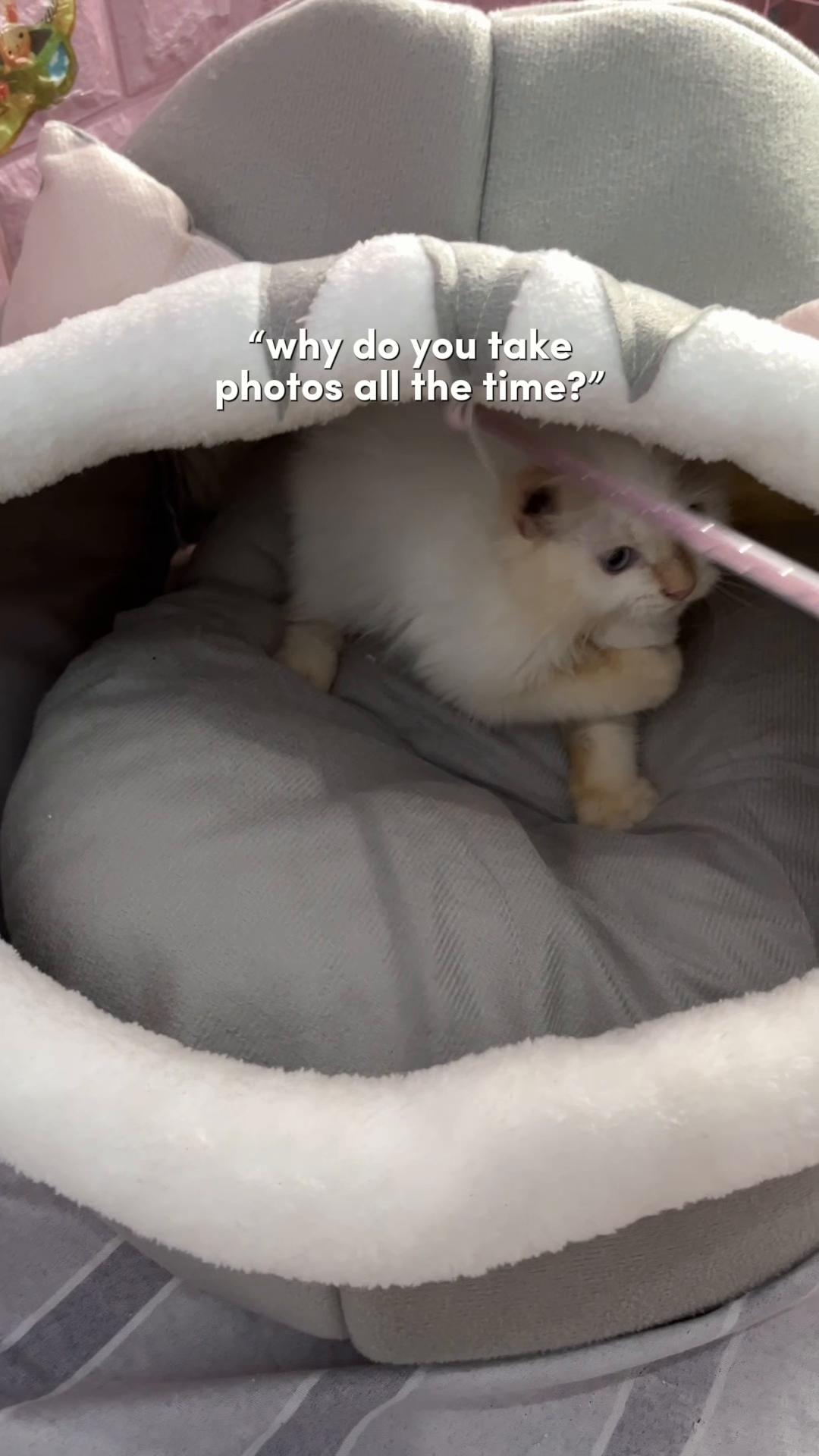 @爱|•ᴊᴀɪ ʜᴏ
