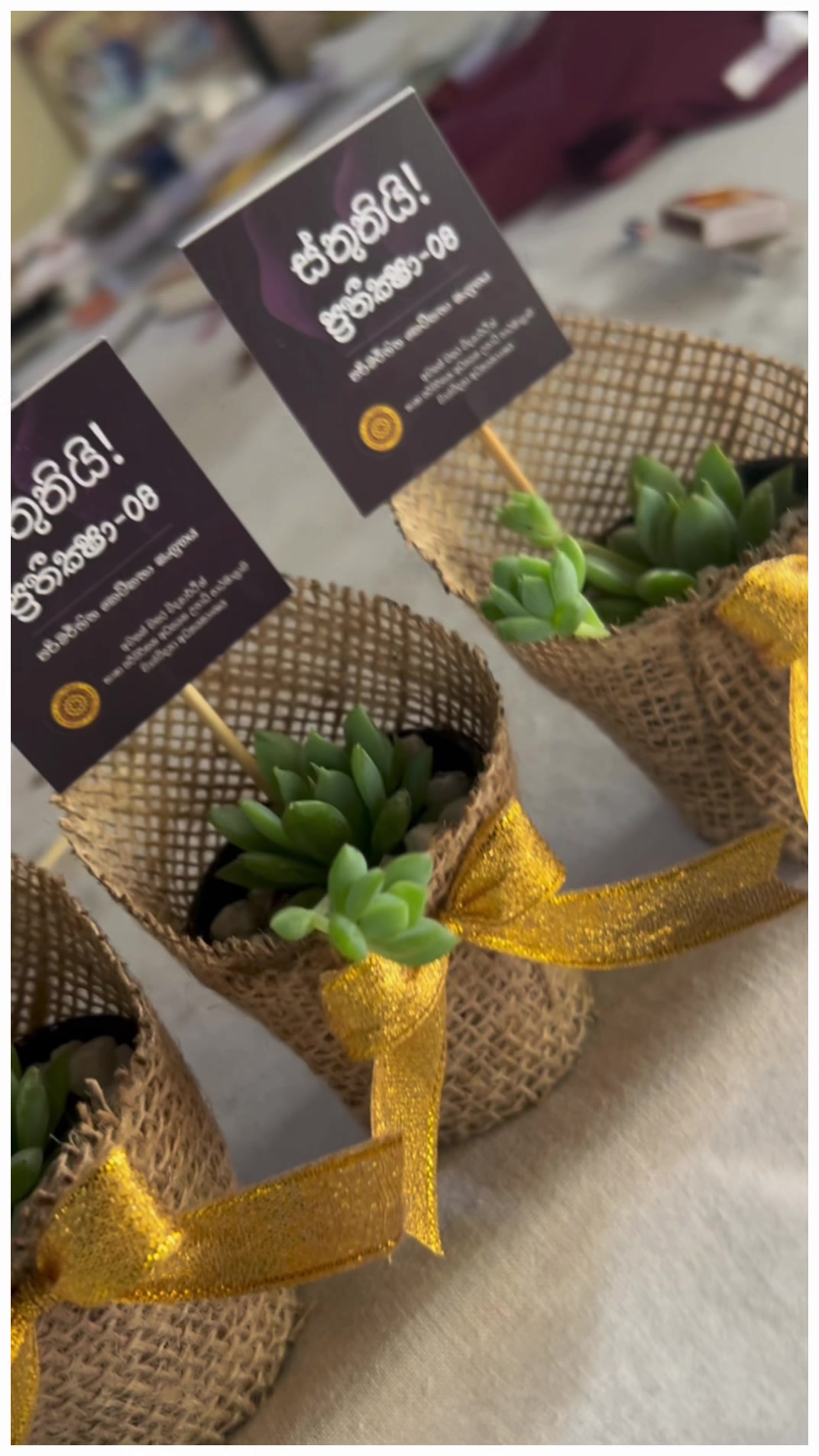 @Happy Plants