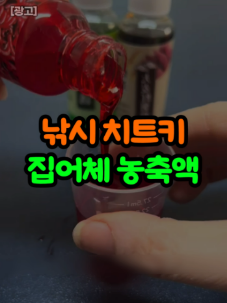 @오쇼