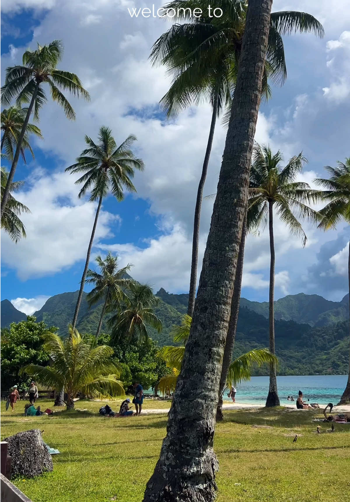 @Marine| Travel Planner Creator