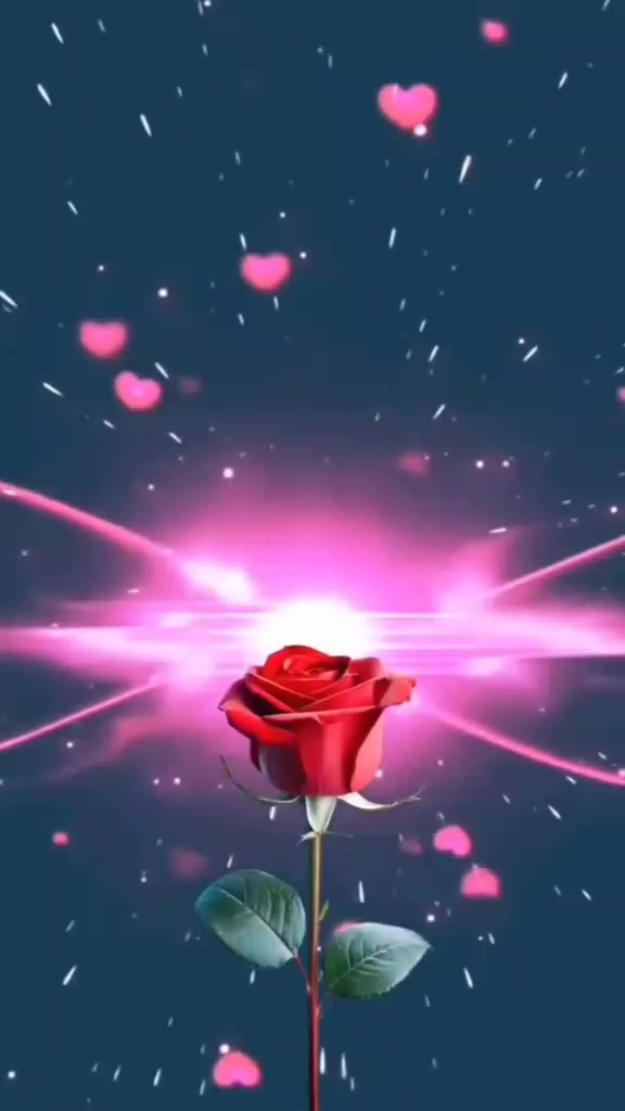 @Farnaz Ahmady