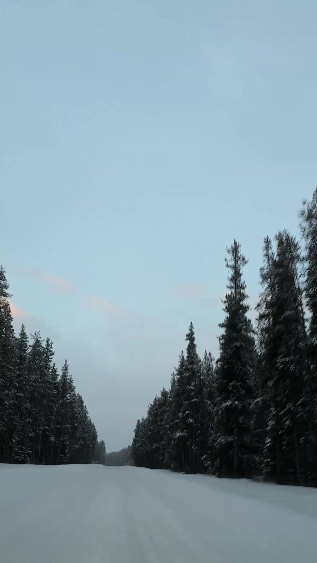 @Heal with me 🇨🇦