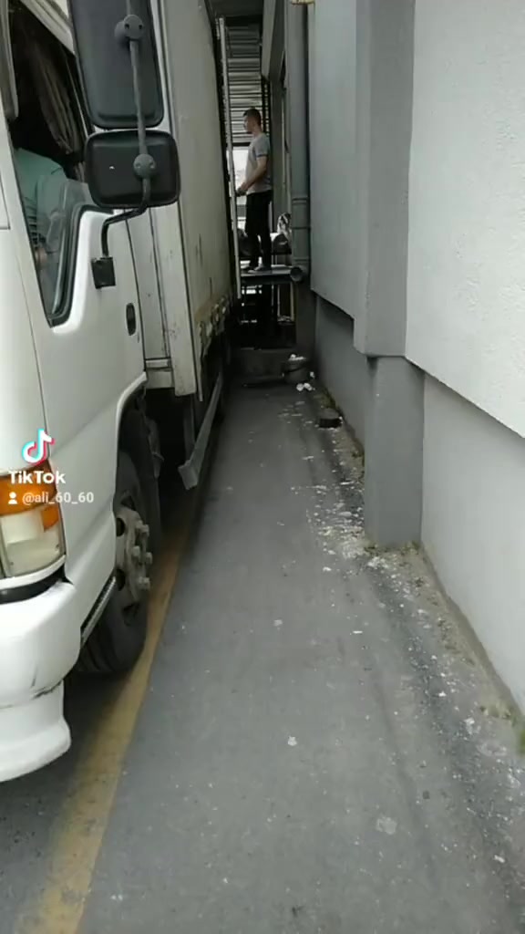 @ÇAM ALİ