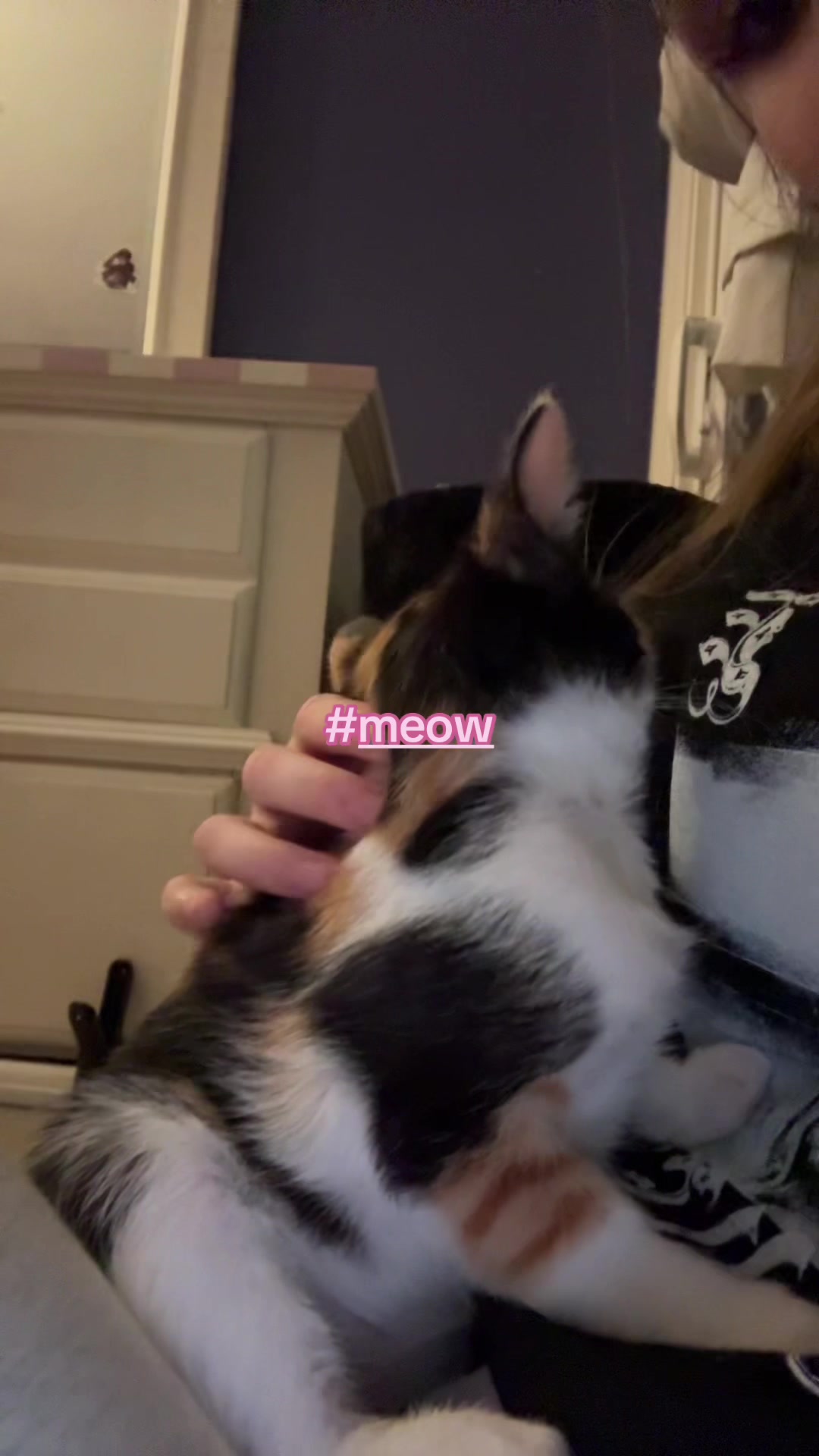 @emily✮⋆˙