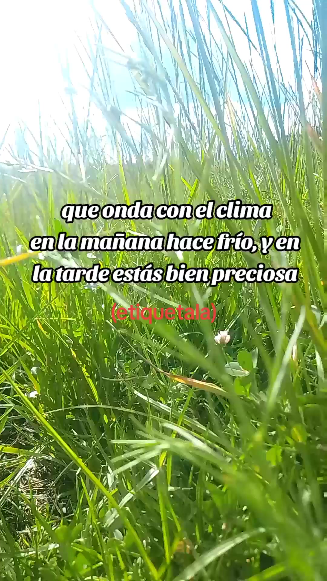 @CUBERAN papi fan