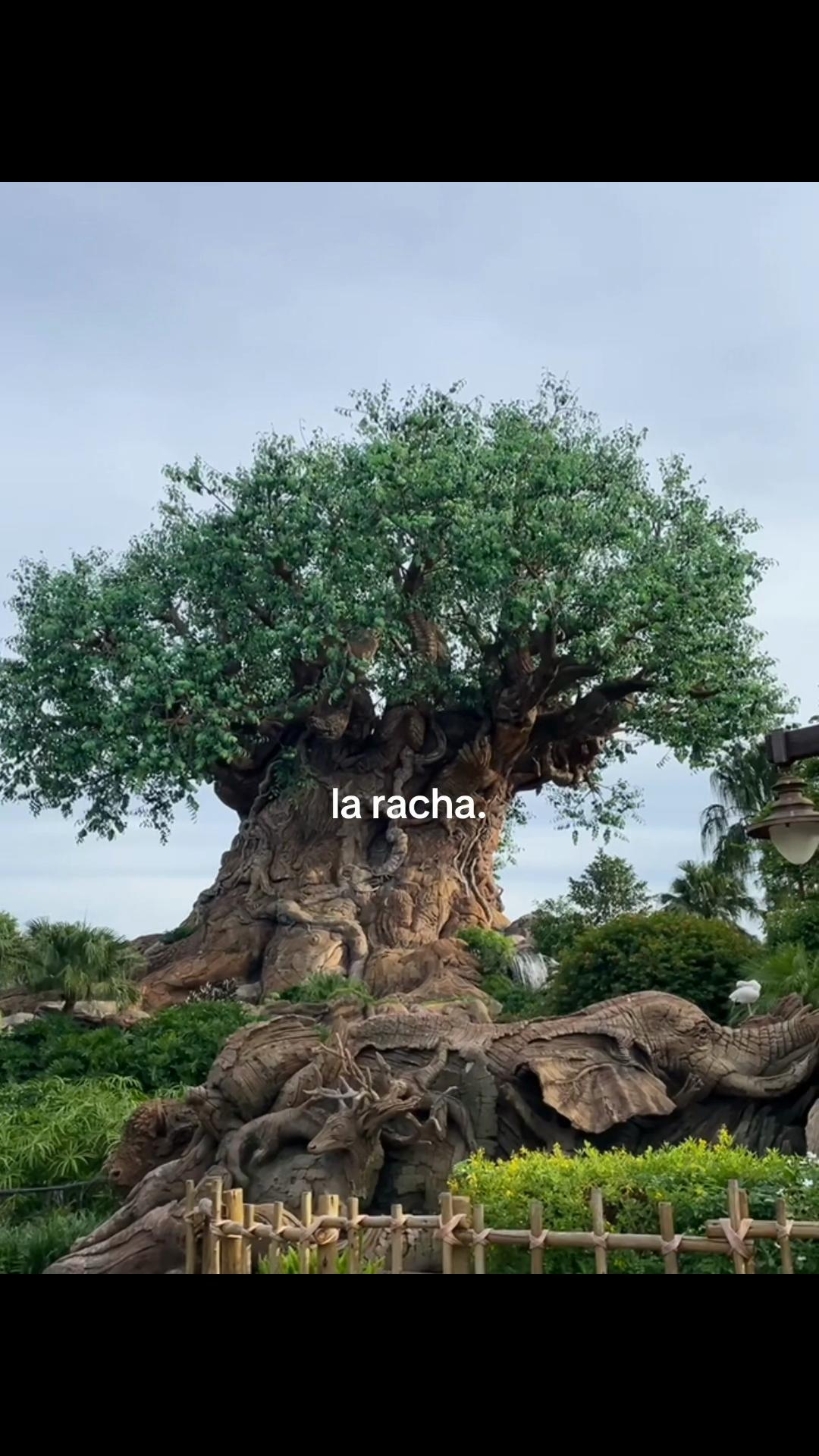 @🥳