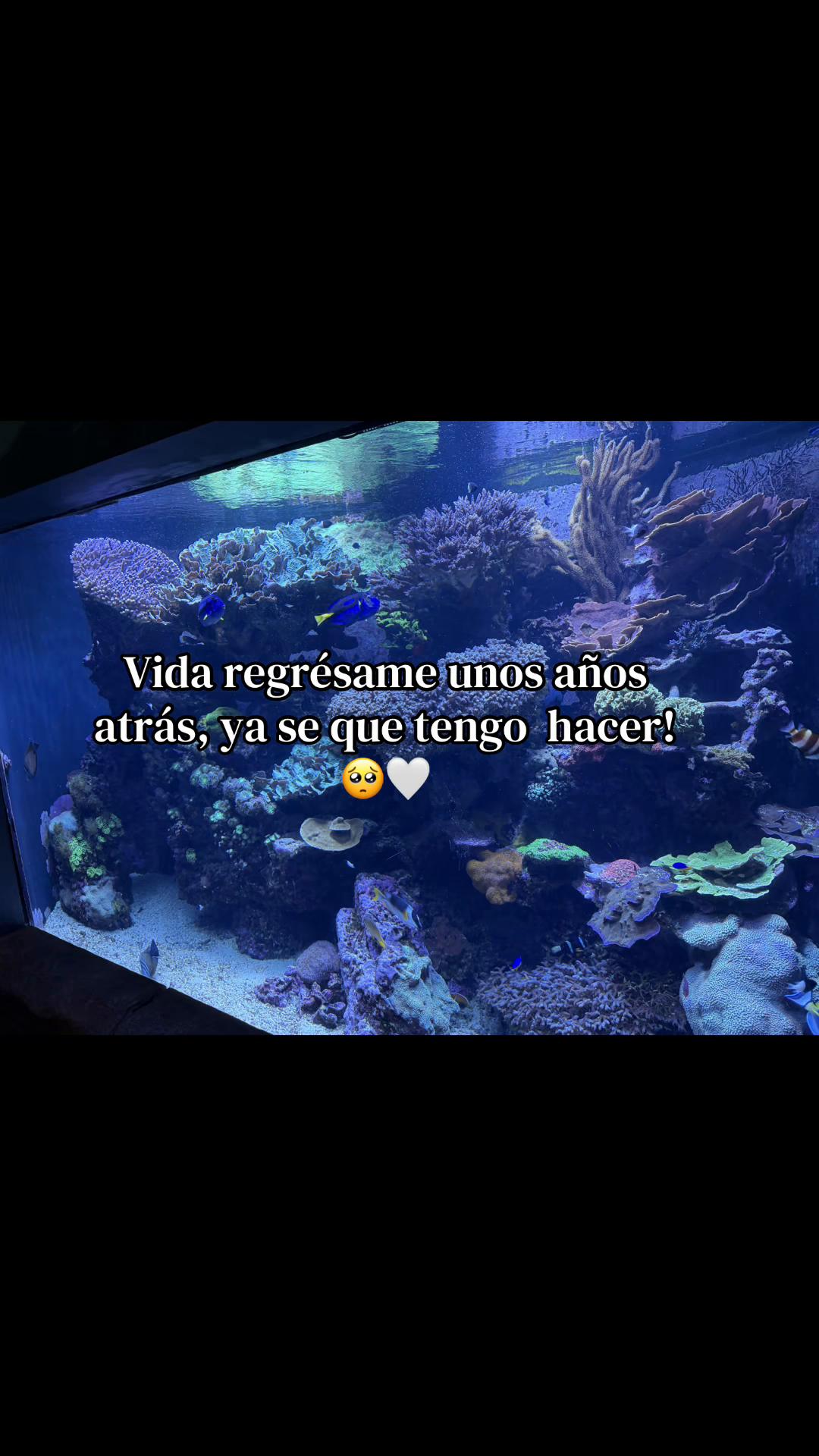 @Shantal Vargas