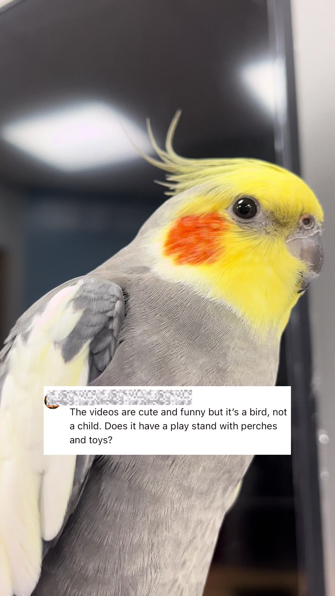 @Emery The Branch Manager