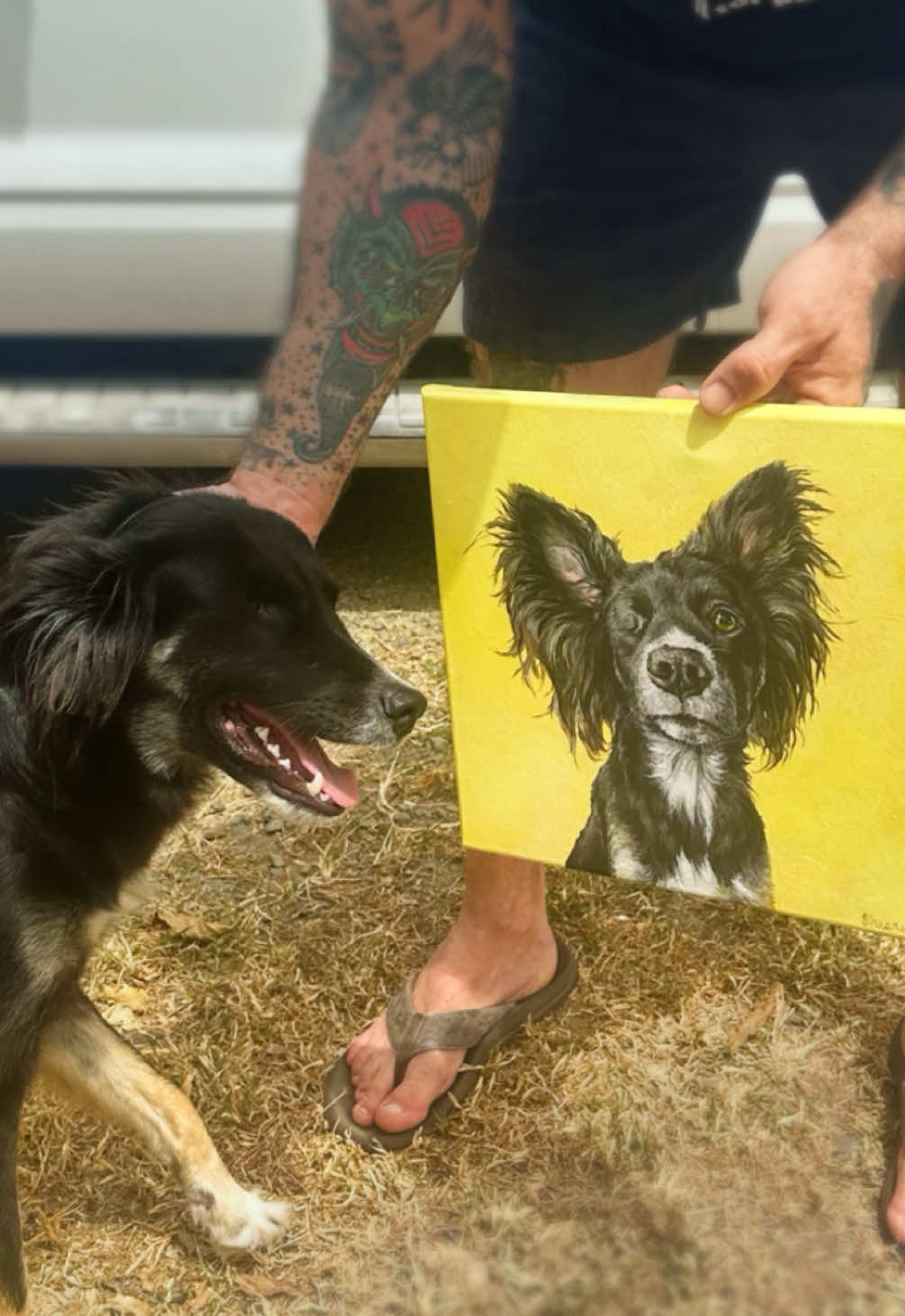 @Pet Portrait Artist