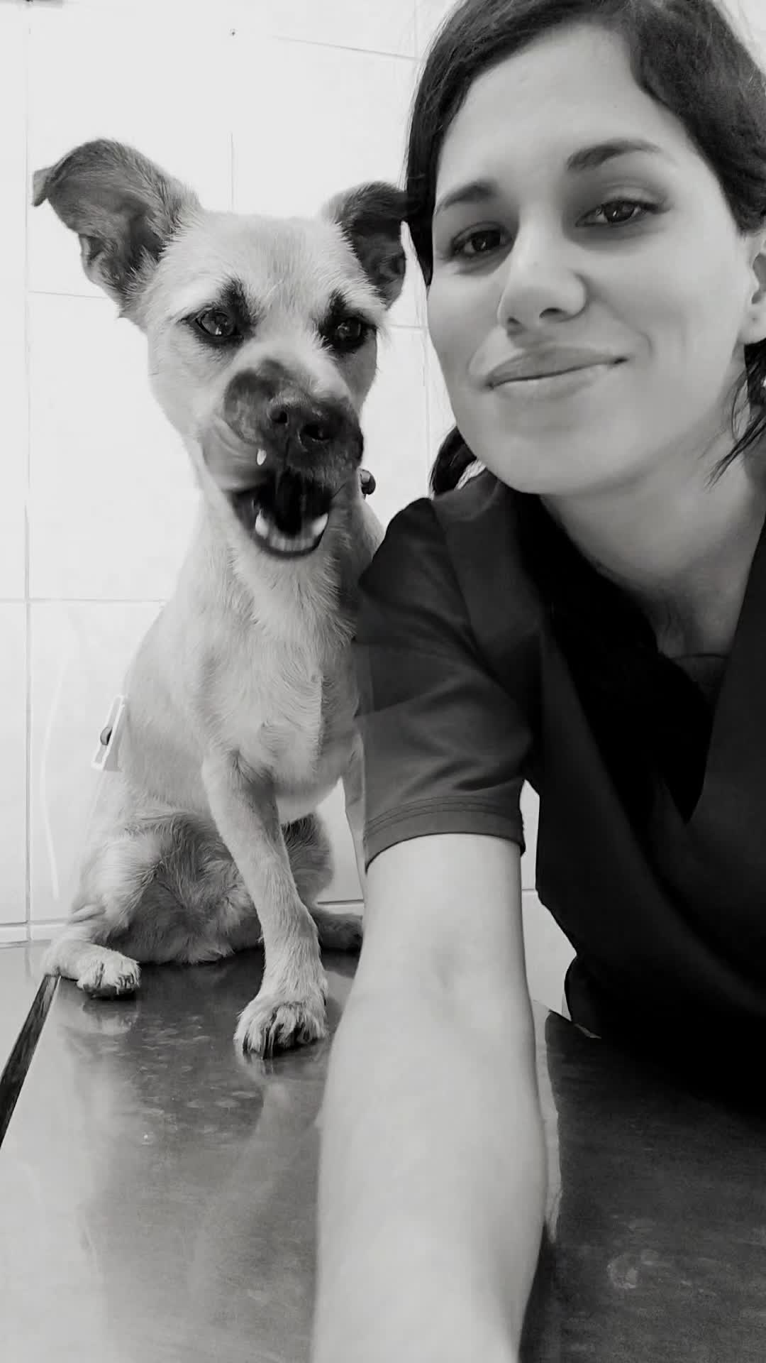@Vital Paw