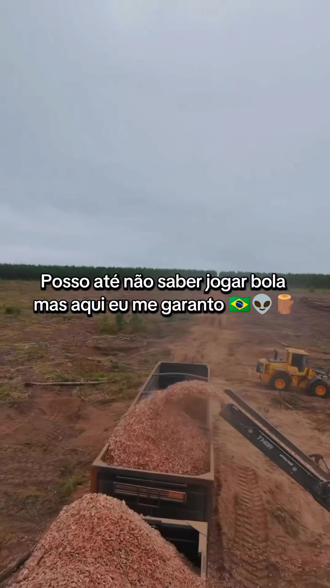 @Thales Almeida 🦾🌲