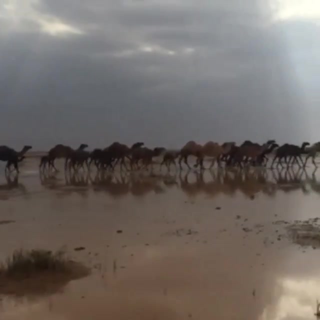 @عذب