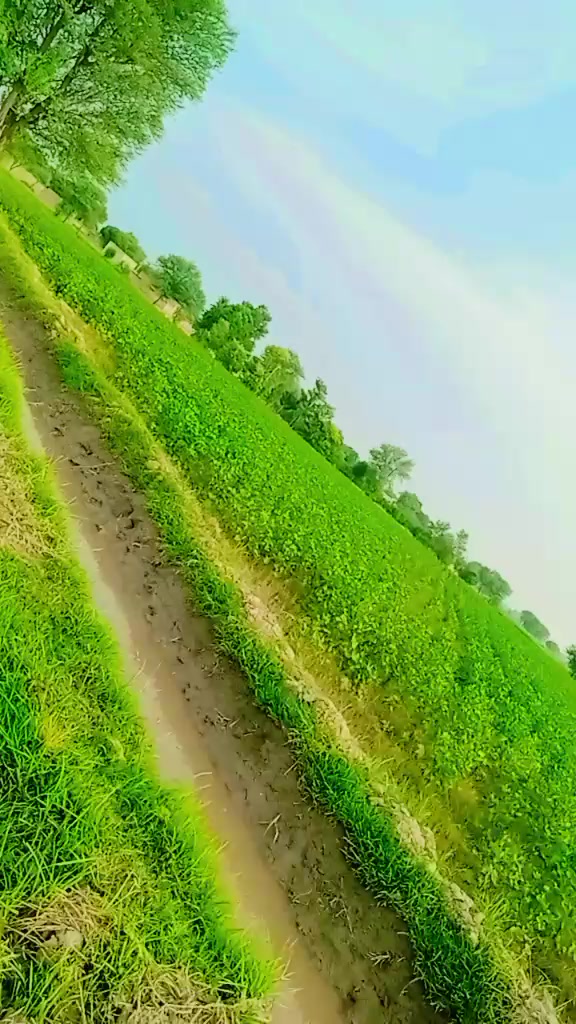 @mr_foji24