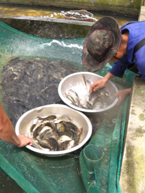 @Trại Cá Giống Quang Lâm