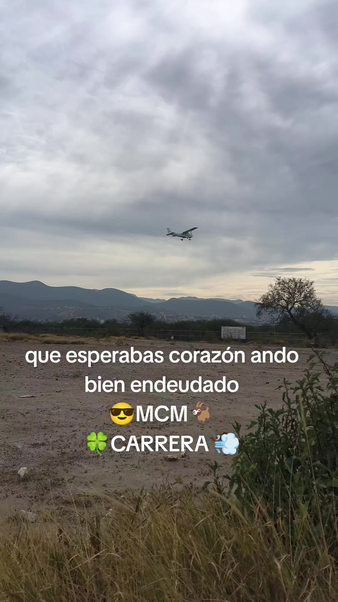 @mariocarrera966