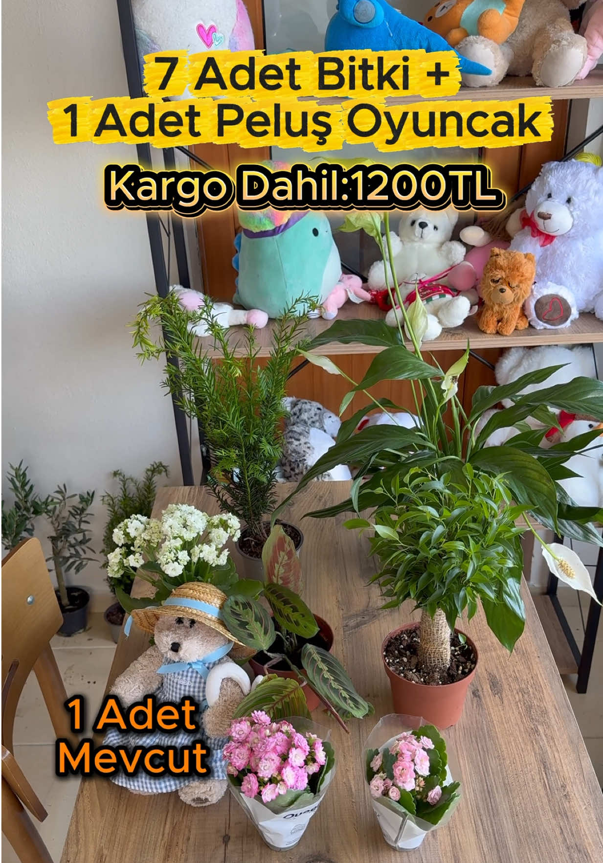 @Saklı bah&ccedil;e Bitkileri