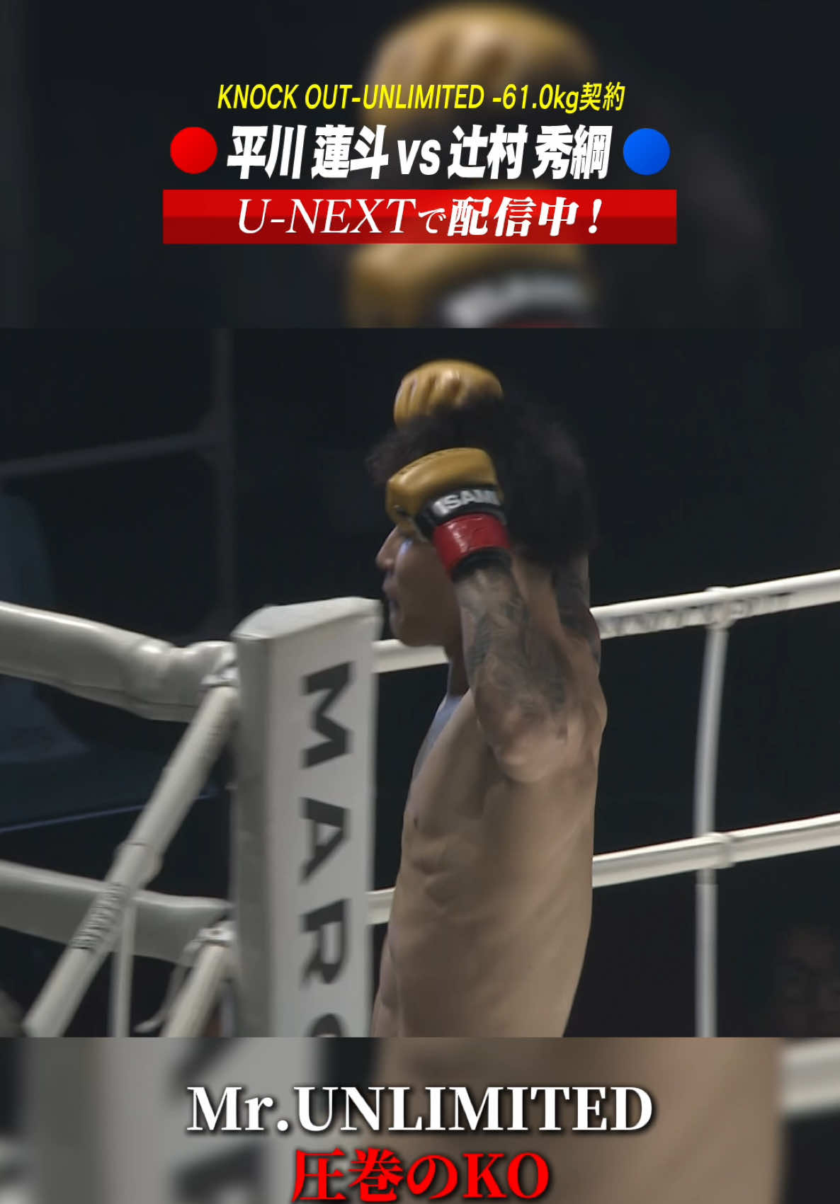 @KNOCK OUT(ノックアウト)公式