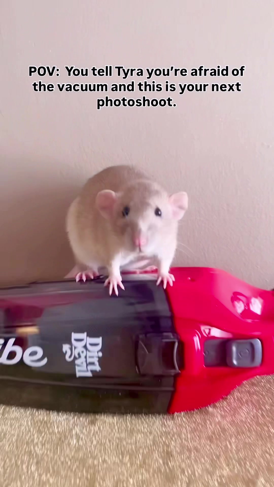 @RatsHaveFeelingsToo