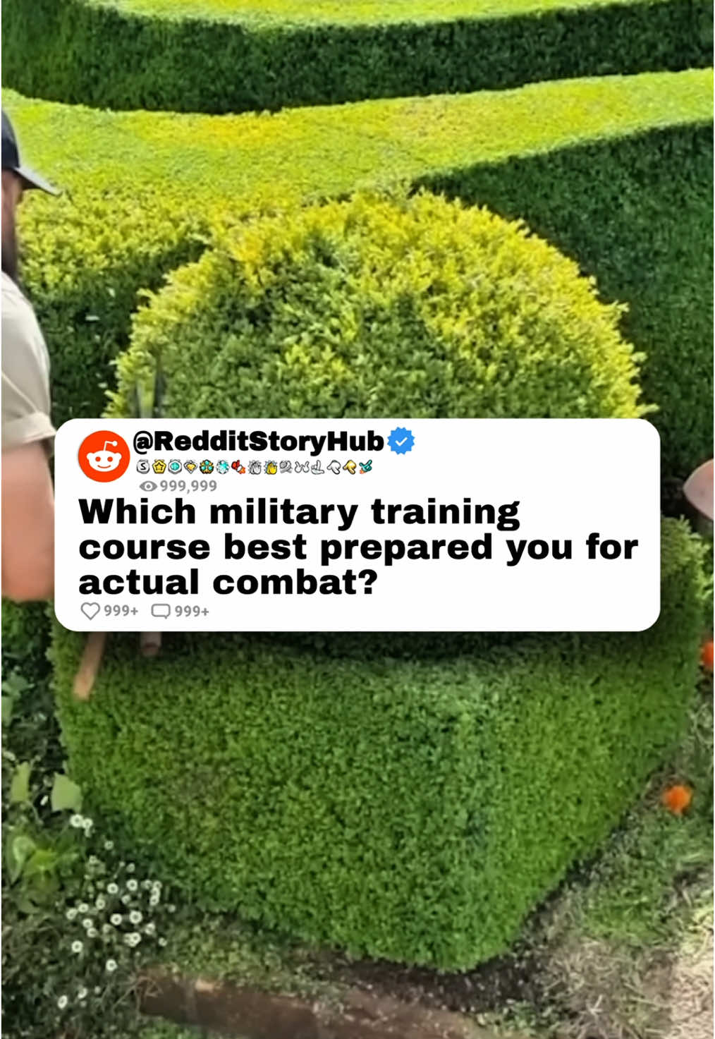 @Reddit_Story_Hub