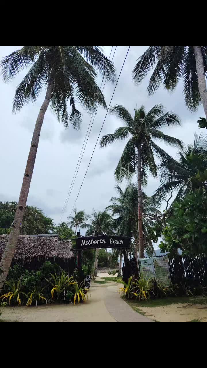 @M.