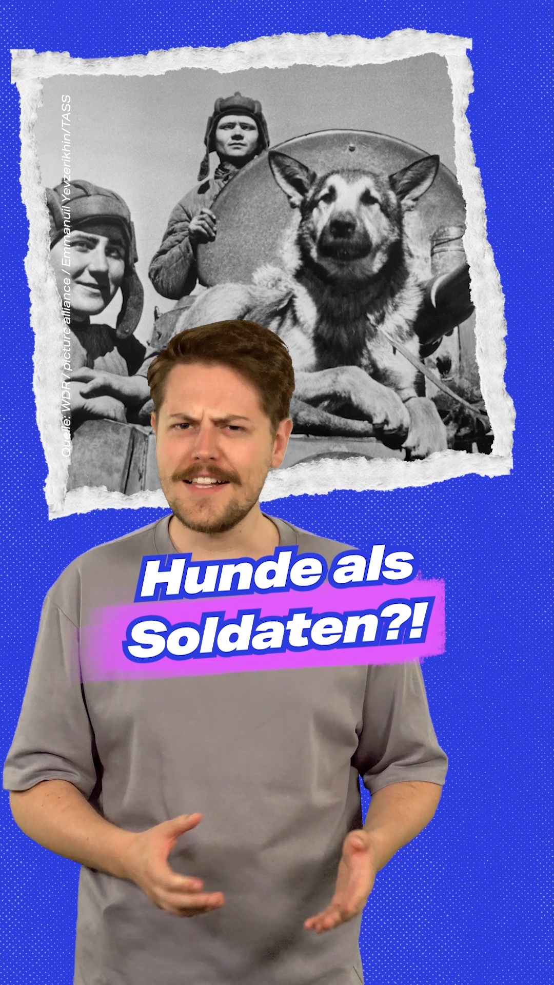 @wahr_so