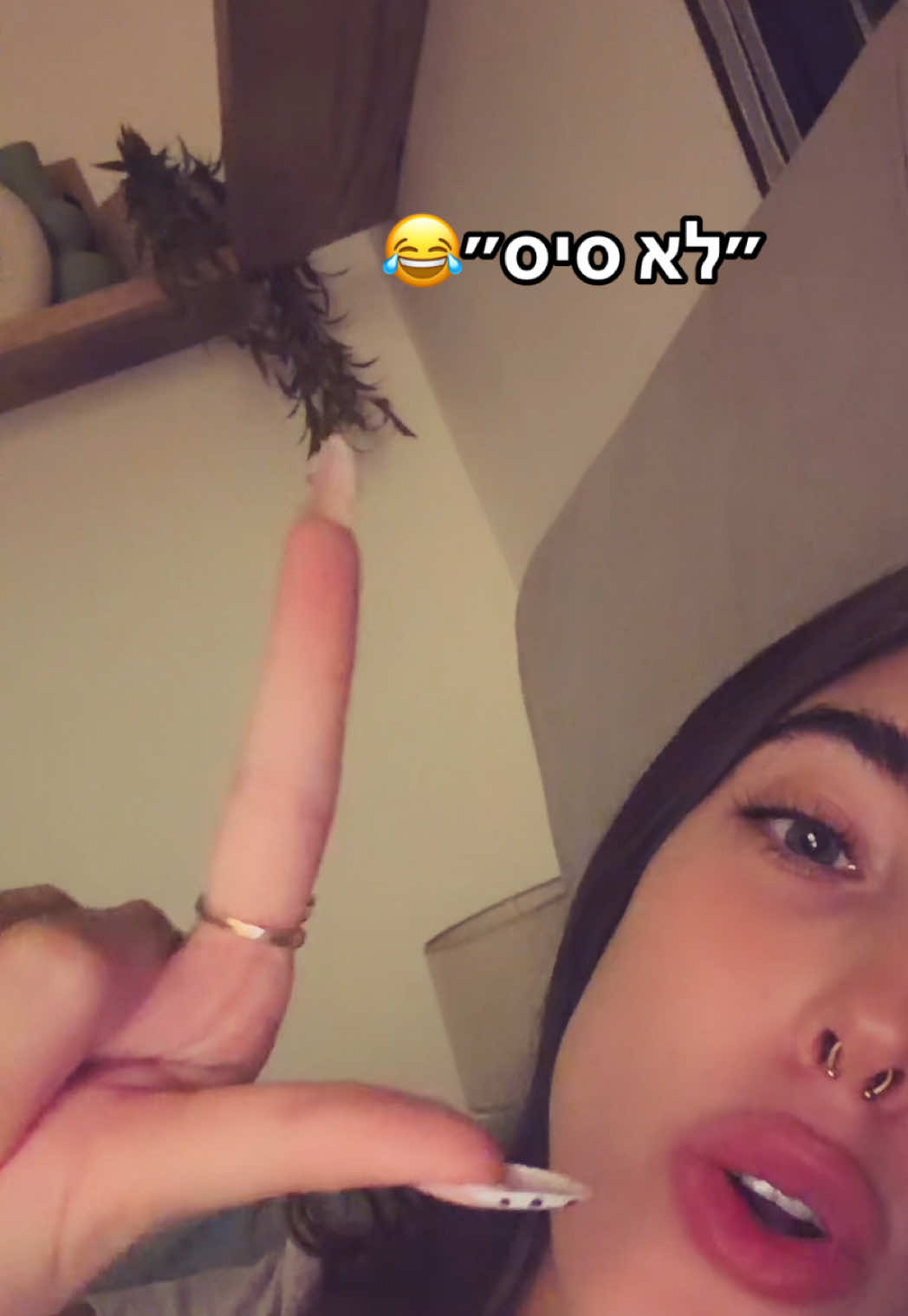 @inbalkreiner