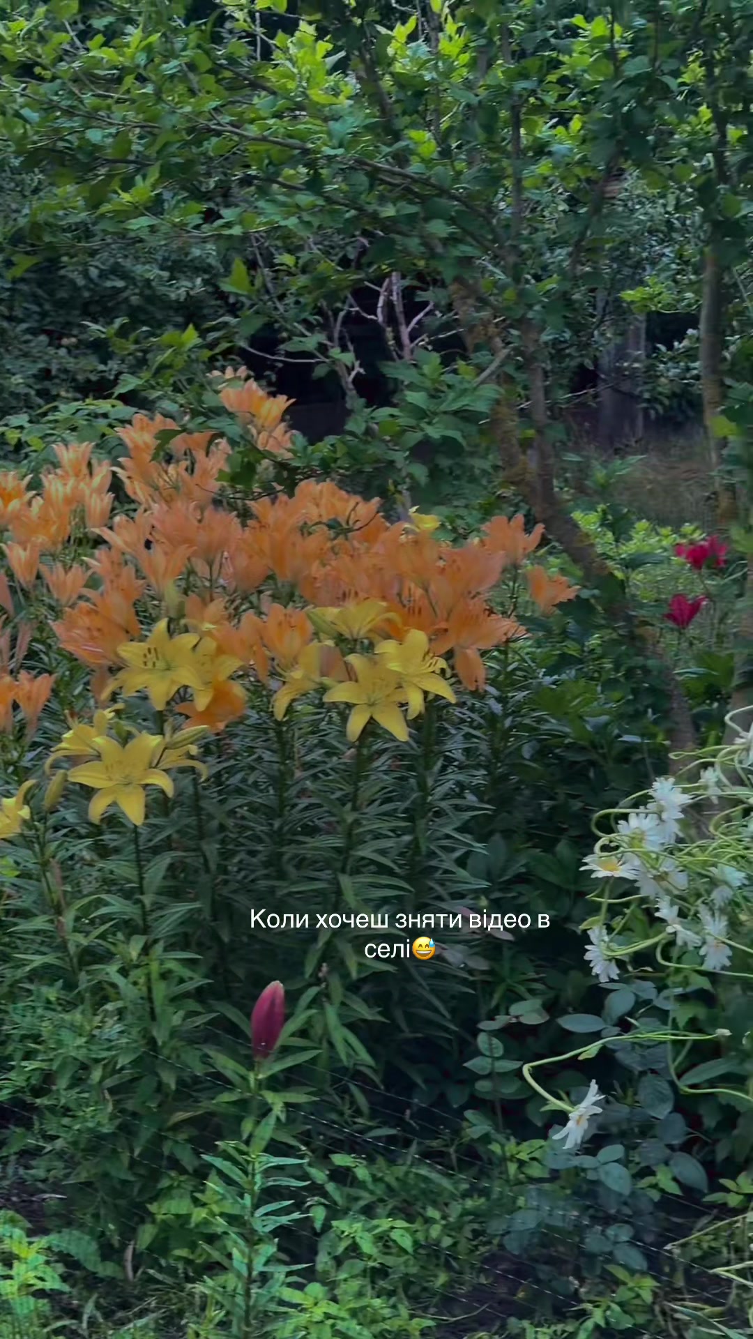 @Ната Карплюк