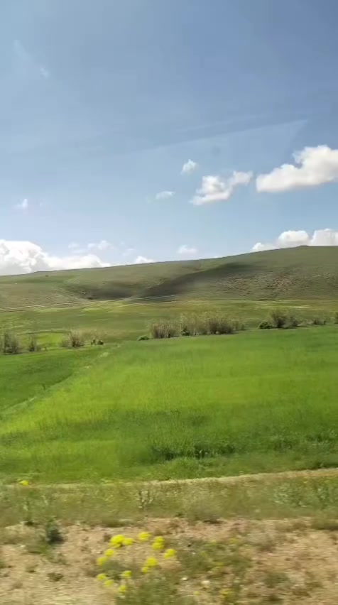 @🌹Sivas 🌹gülü 🌹