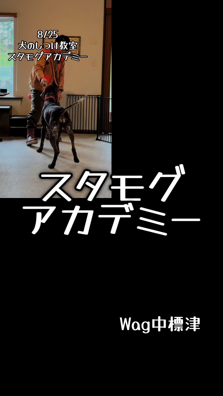 @Wag_nakashibetsu