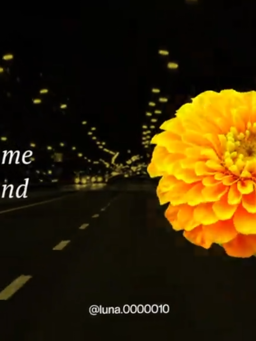 @L U N A ☾ ⋆