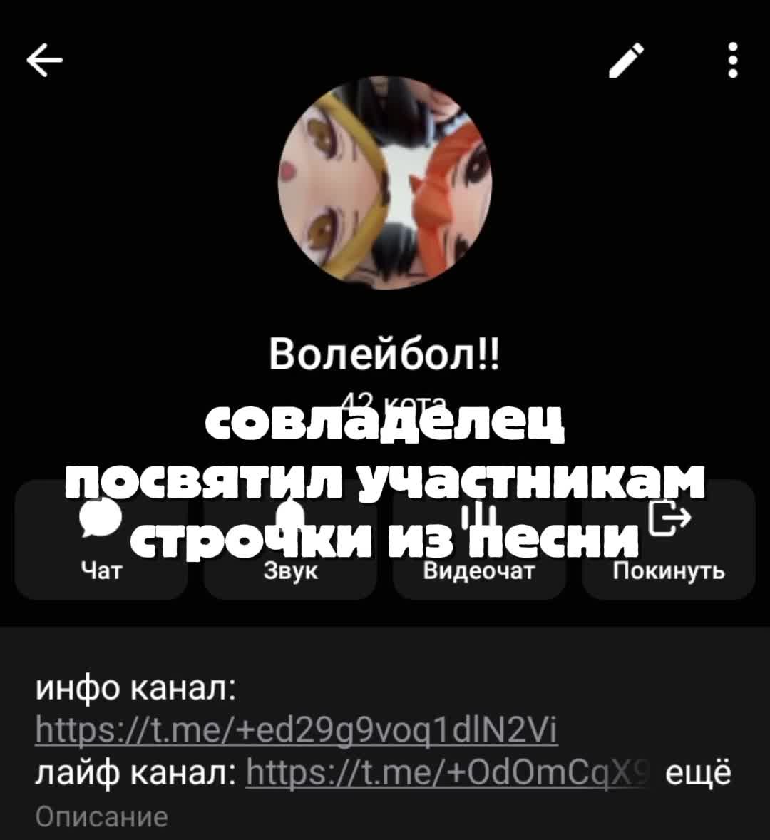 @волейбол!! flood