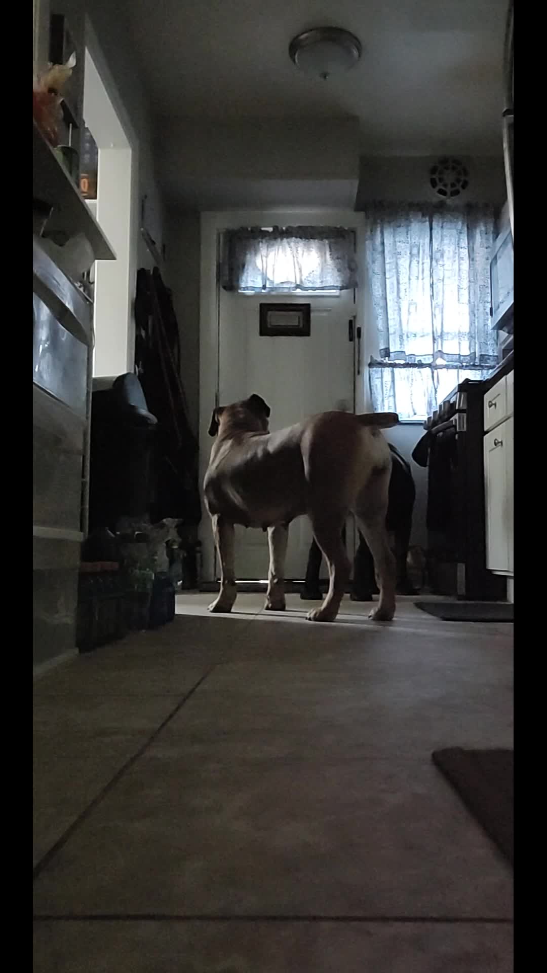 @Askilove