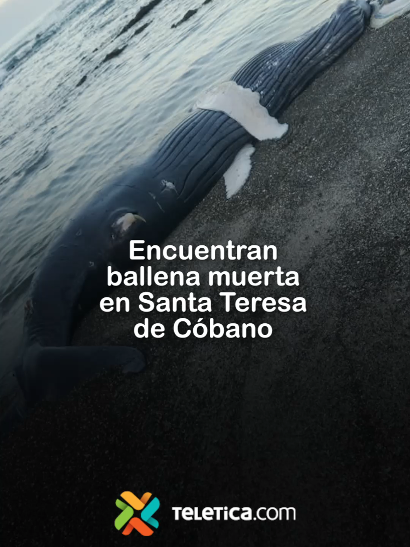 @Teletica.com
