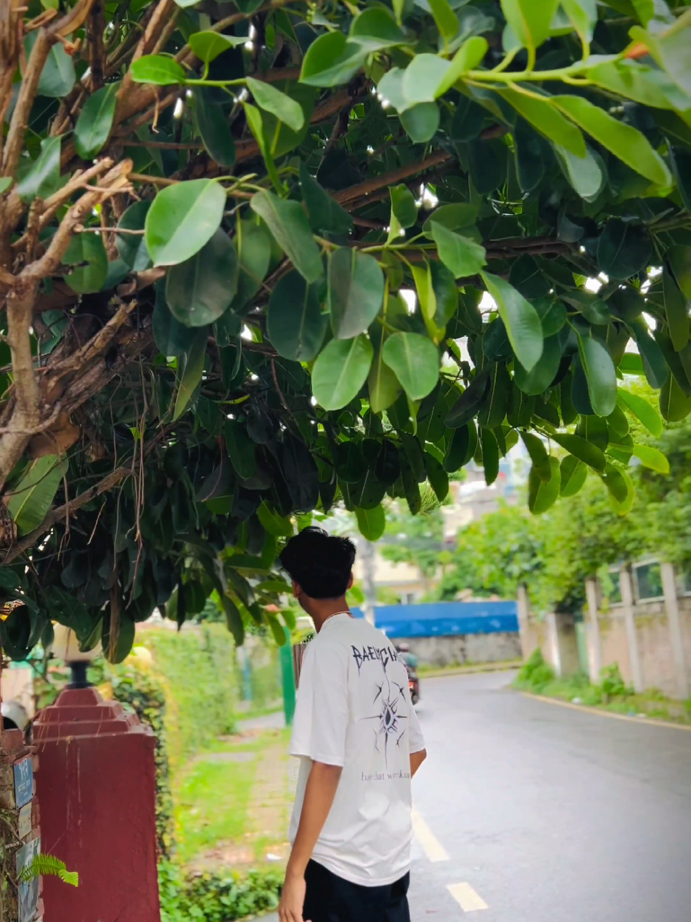 @๐๐๐α๐ ๐υ๊ญα๐ ๐αษฆ_๏ฃฟ