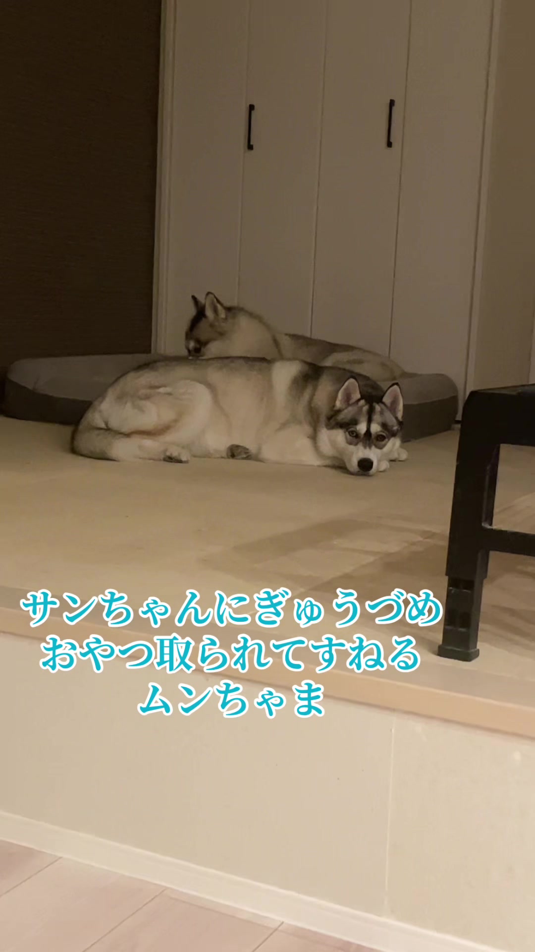 @サン☀️とムーン🌙