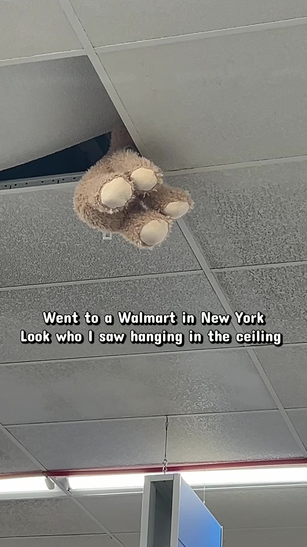 @Nia & Woody