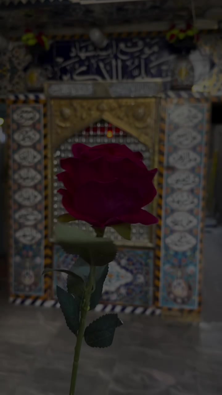@پاسبان مہدی❤️🩹