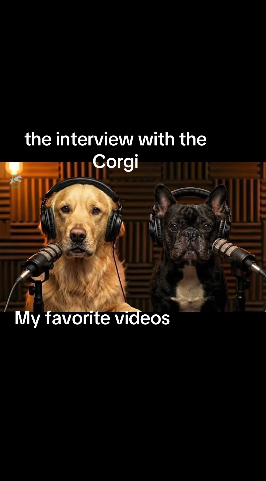 @my favorite videos