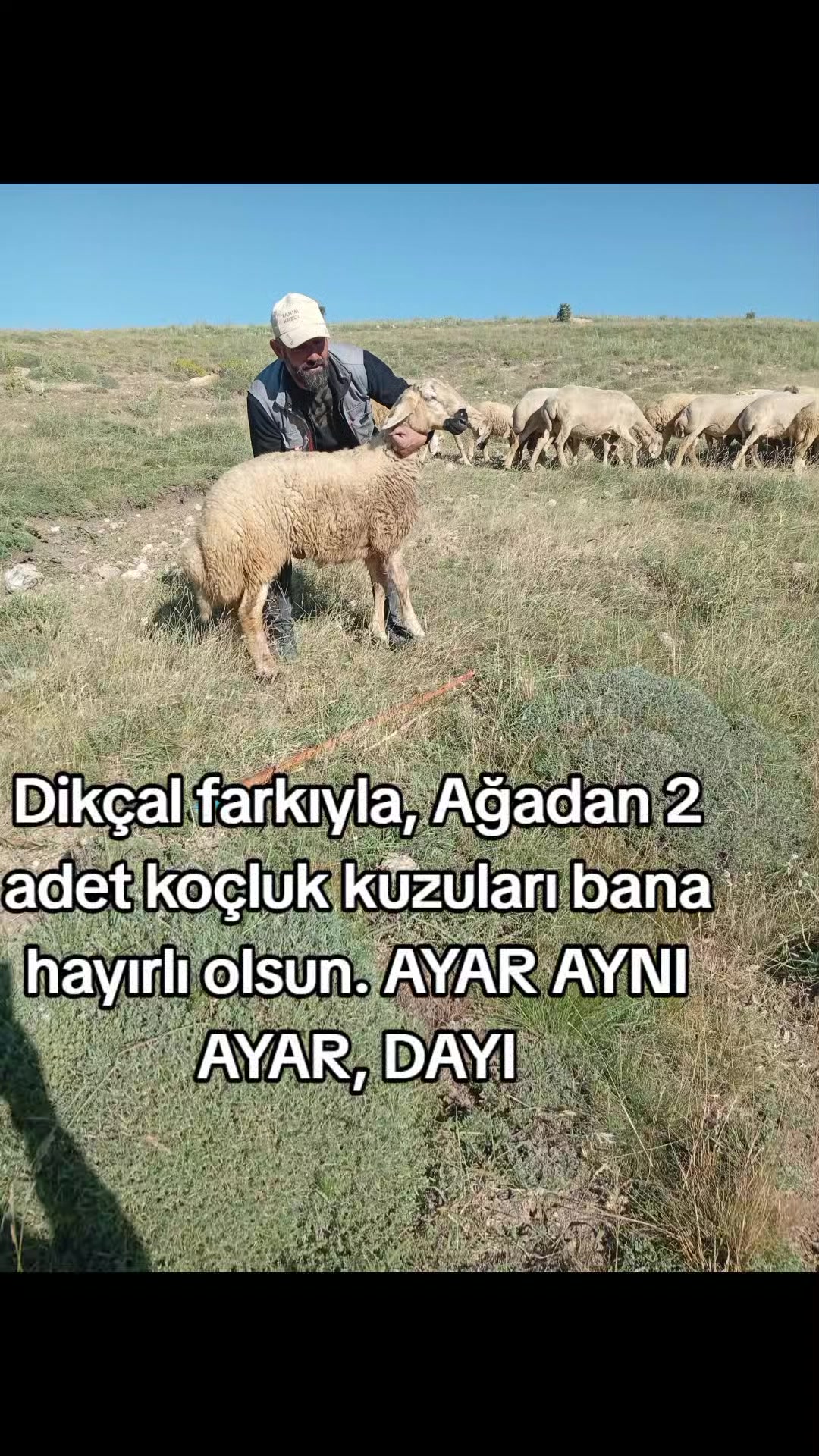 @HAYAL KEŞ