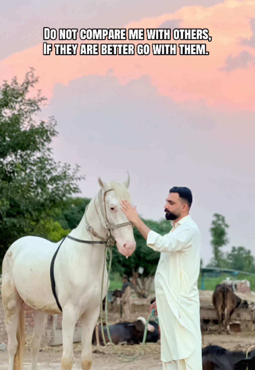 @Taimoor Shah