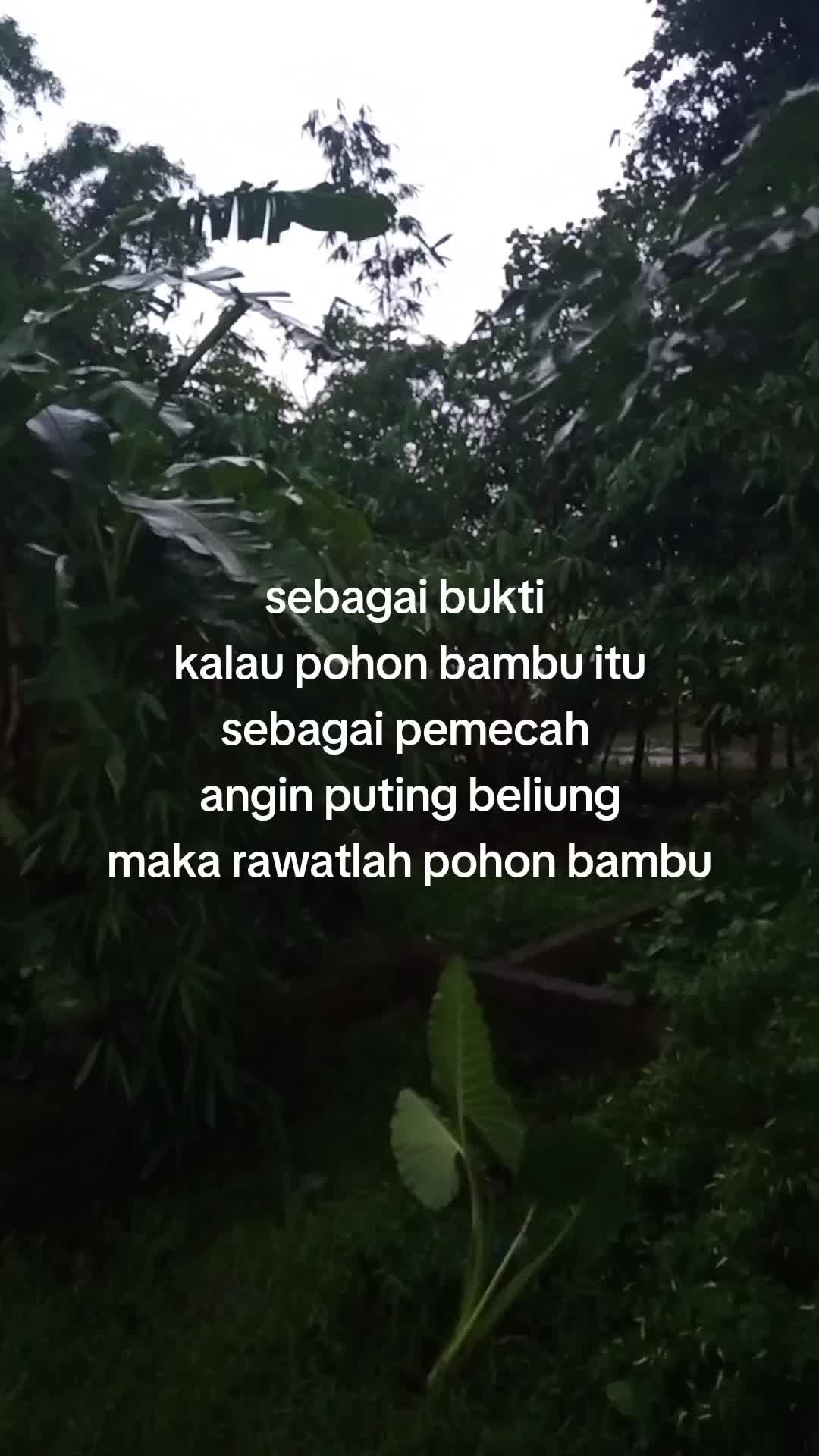 @KAZUO STORE 🇮🇩