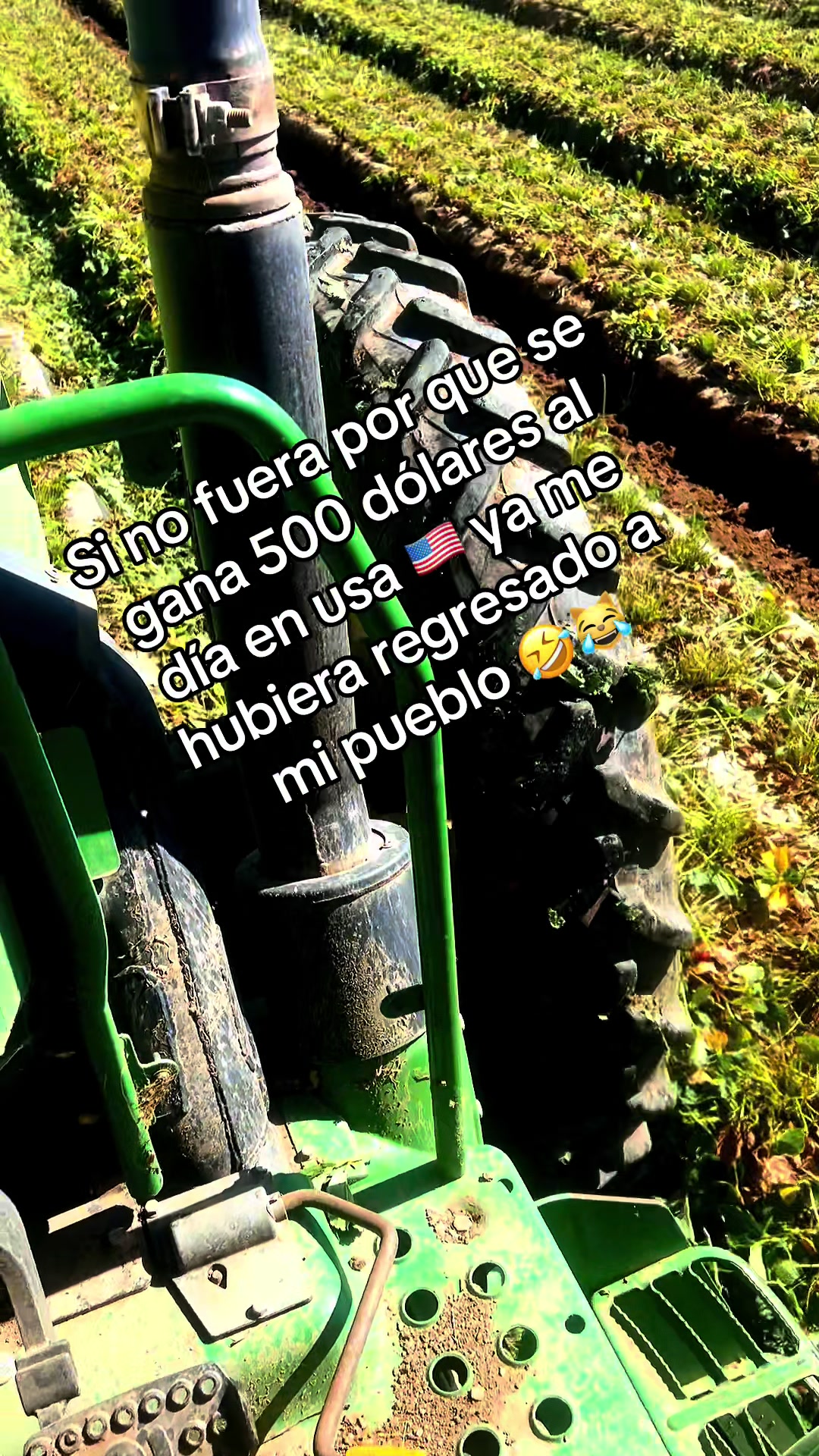 @González G