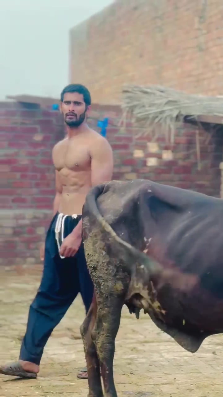 @Numan Gujjar