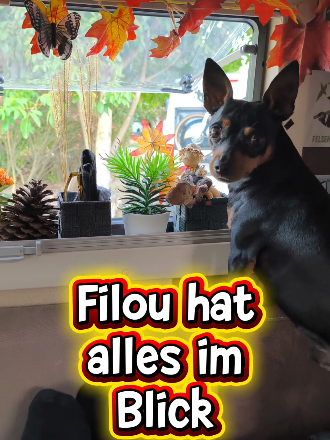 @ICH BIN'S
